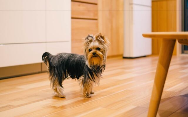 Miro Sanjo Saiin Tei