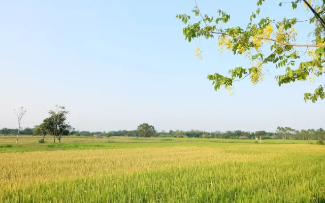 Ban Din Resort Chiang Rai