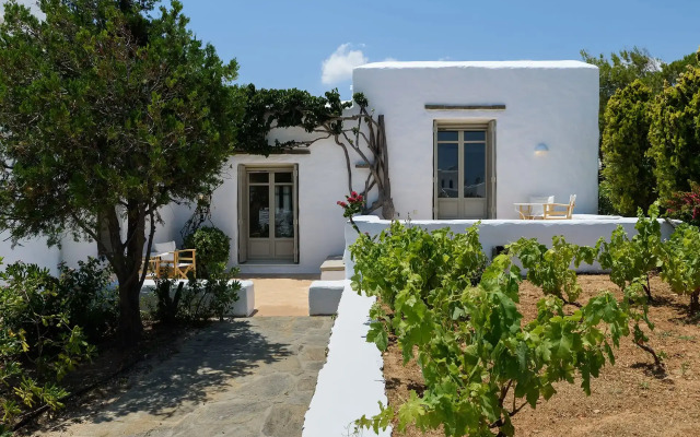 Villa Vinea Paros