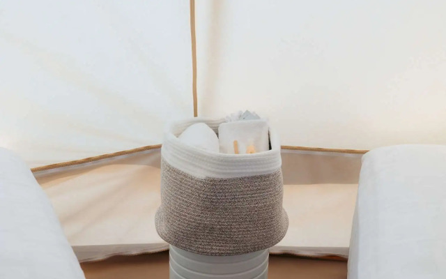 Zion Wildflower, BW Premier Collection