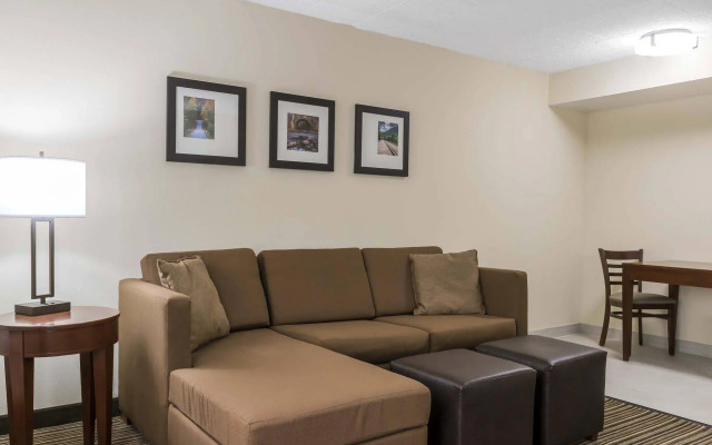 Comfort Inn - Pocono Mountains