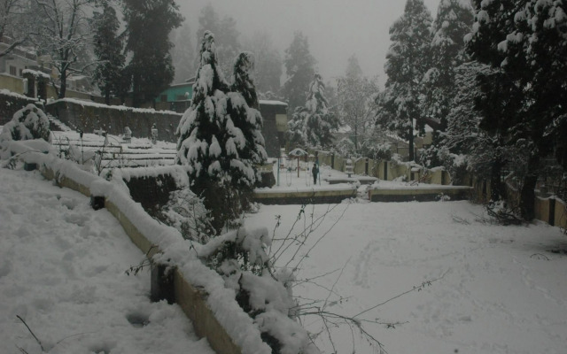 Shervani Hilltop Nainital