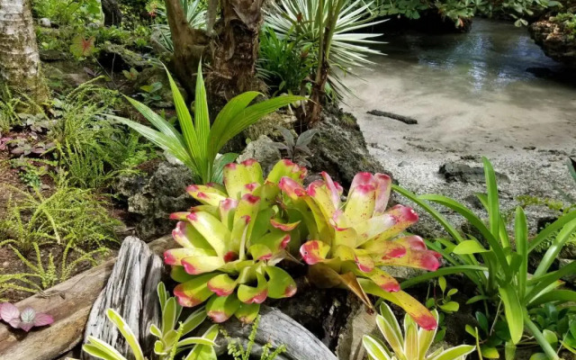 Piscina Natural on the Sea