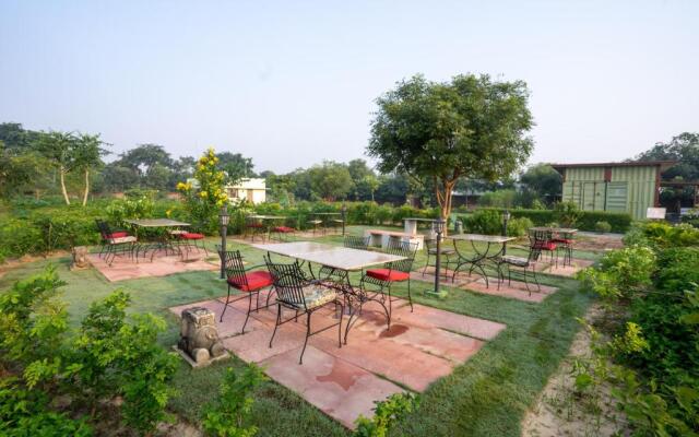 Tree of Life Ecotainers Agra