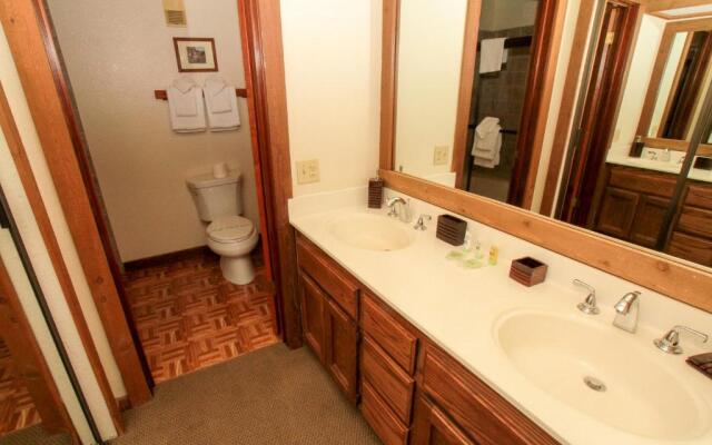 Mountainback #12, Loft