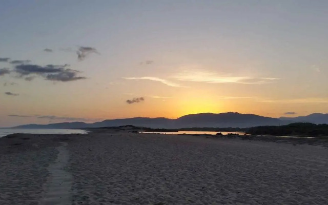 Apartment in La Muddizza 23164