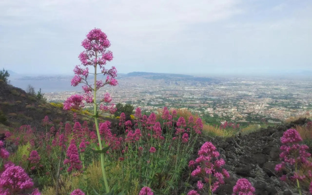 Mercure Napoli Sud Poseidon