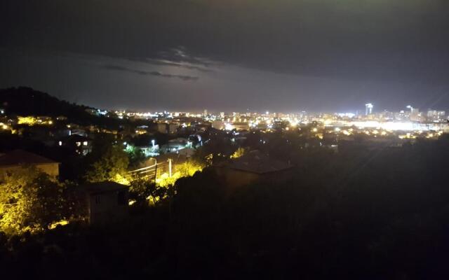 House Ana Kalandadze 31