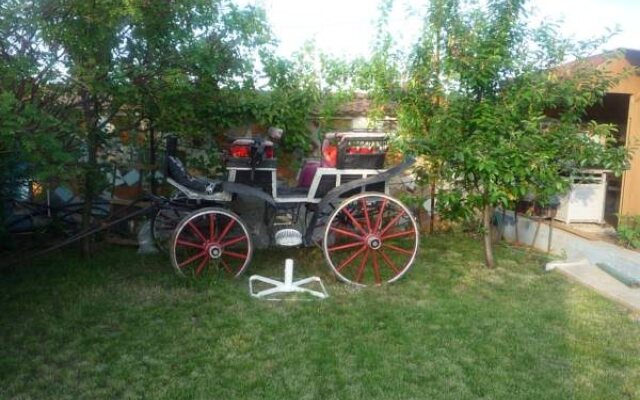 Pension Motanul Galanton