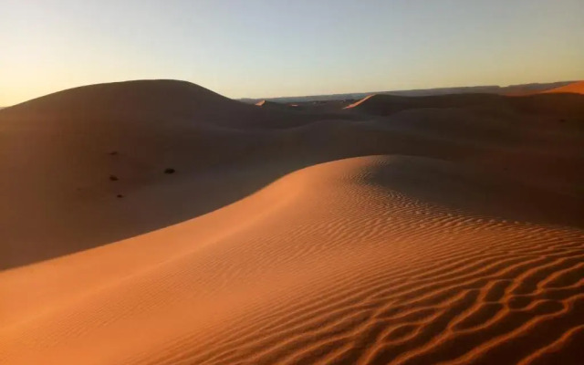 Sahara Peace