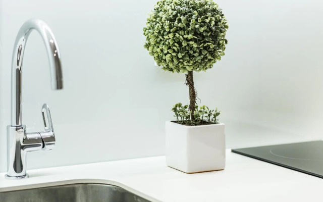 ZEUS Design Apartments