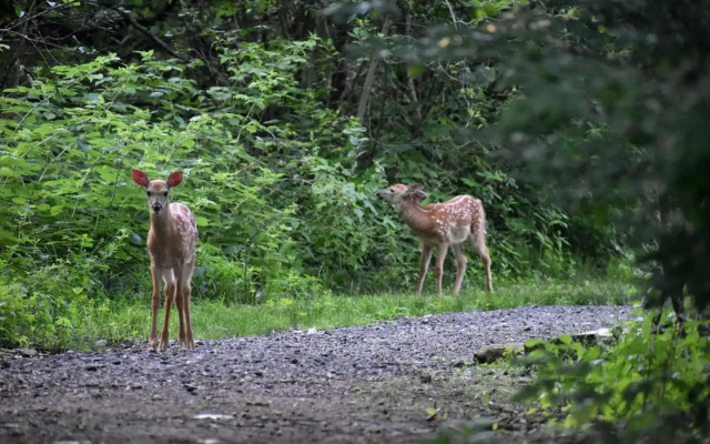 The Sanctuary Retreat & Spa