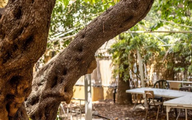 Cozy Charm STU Haifa CTR by Sea N' Rent