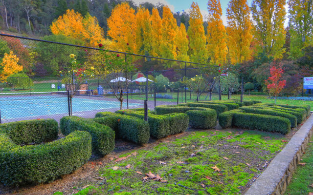 Chestnut Tree Holiday Apartments