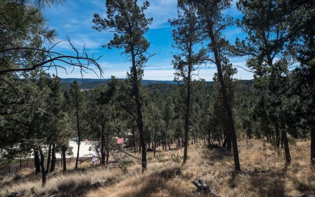 Buckhorn Cabin - Three Bedroom Cabin