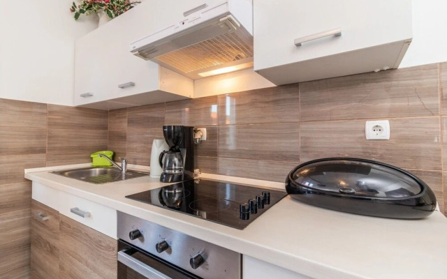 Rezikica - Green Oasis - A2