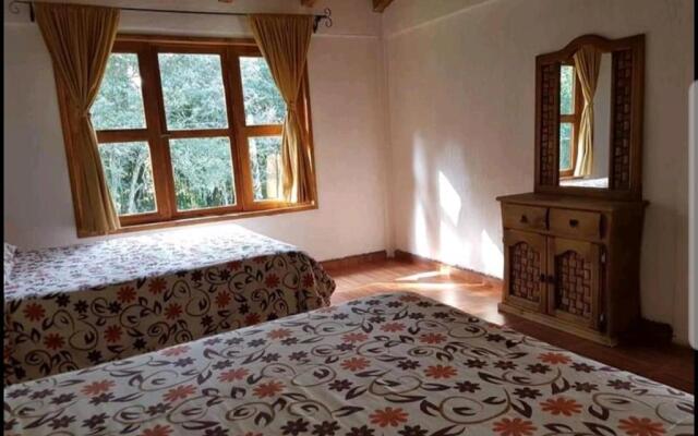 Cabañas los cactus 2