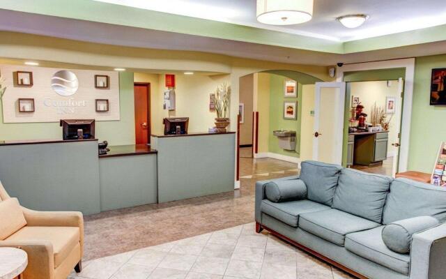 Comfort Inn Near Casino