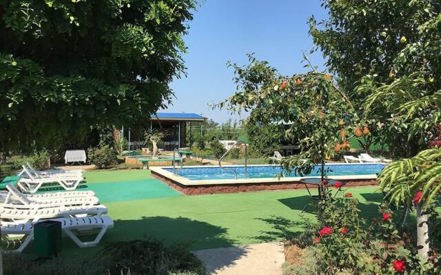 Gregori Club