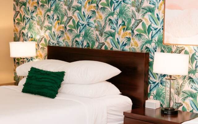 The Local - St. Augustine