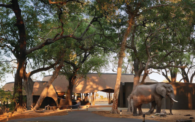 Belmond Safaris