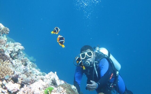 Mai Dive Astrolabe Reef Resort