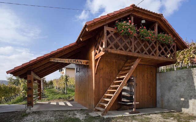 Vineyard cottage Ucman