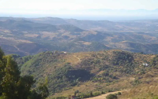 Caballo Andaluz