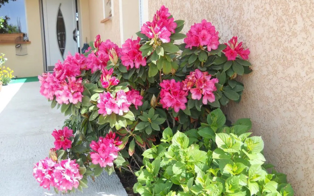 Le Clos des Malézolles