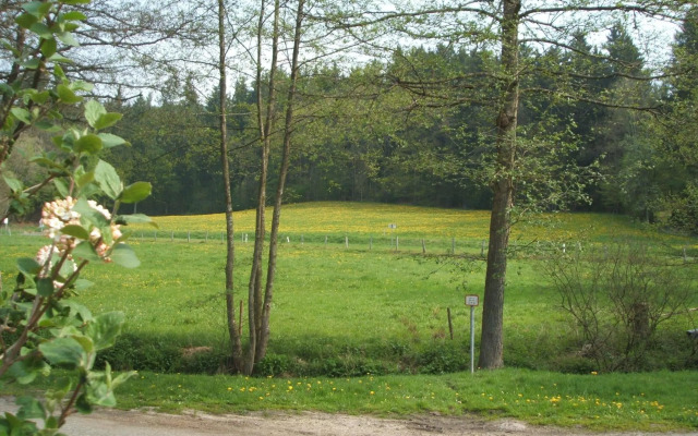 Gasthof & Landhotel Ohrnbachtal