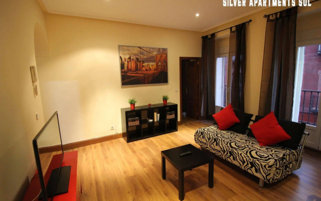 Silver Apartments Sol