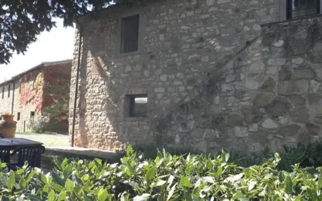 Masseto In Chianti