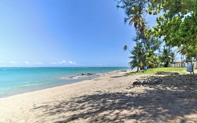 Loiza Condo w/ Rooftop Patio - Walk to Beach!