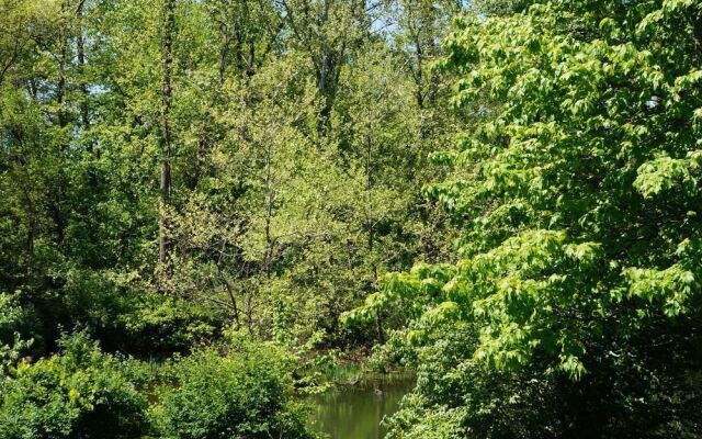 Best Western Executive Suites - Columbus East