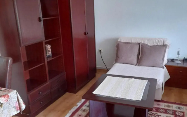 Apartment Mirjana