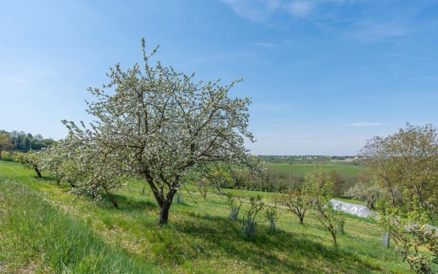 Amazing Home in Ferrere With Wifi and 1 Bedrooms