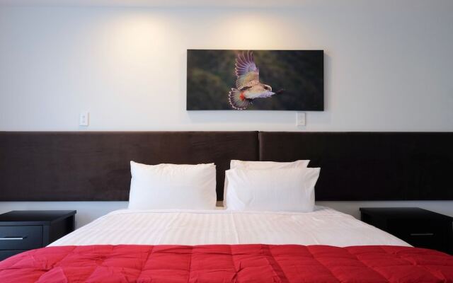 Stopforths Premium Accommodation