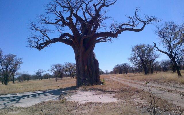 Lesoma Valley Lodge