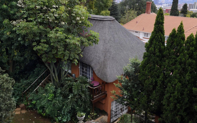 TreeTops & Treats Guest House