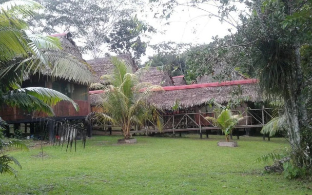 Tropical Adventures & Expeditions