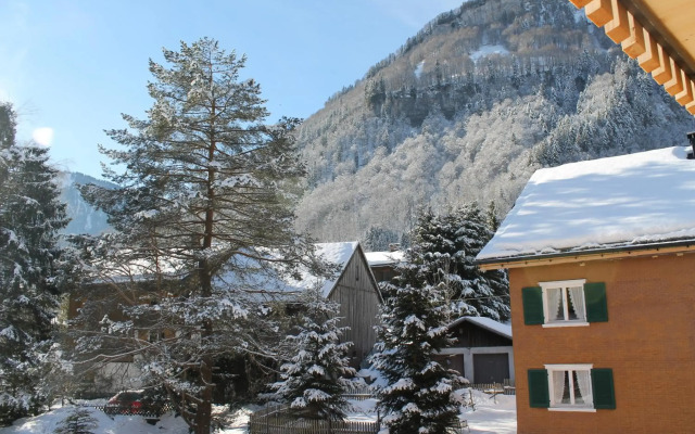 Apartment Bergblick-Mellau