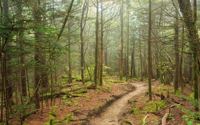 Osceola Mill Dining & Lodging