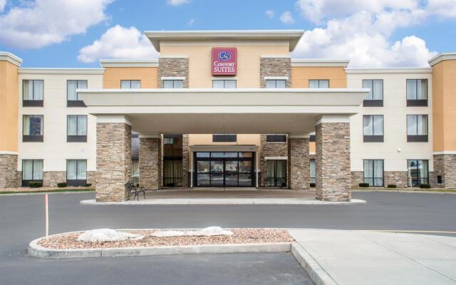 Comfort Suites Cicero - Syracuse North