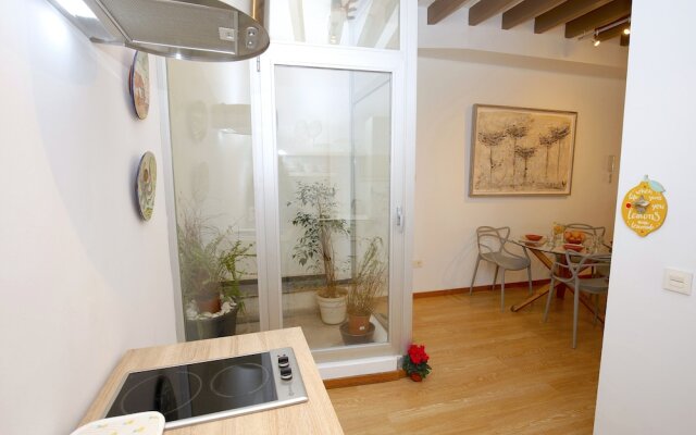 Sant Miquel Homes Penthouse