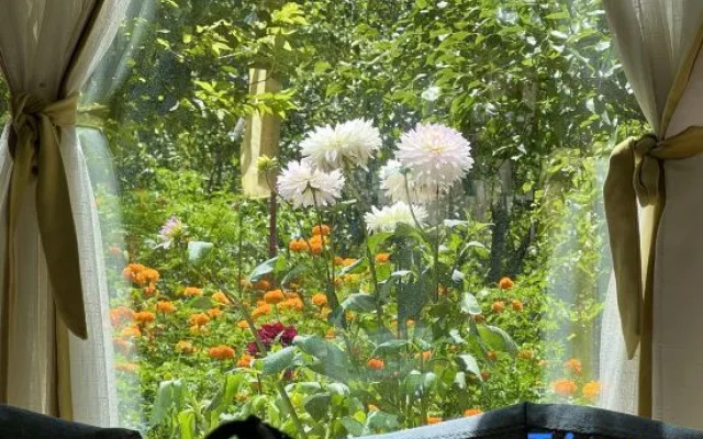 The Happy Bandmo's Home