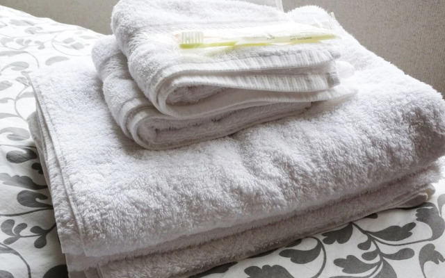 Yokohama Classic Apartment