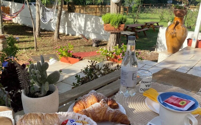 Chill Garden Experience