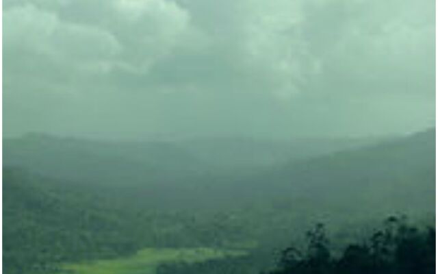 Spice Tree Munnar