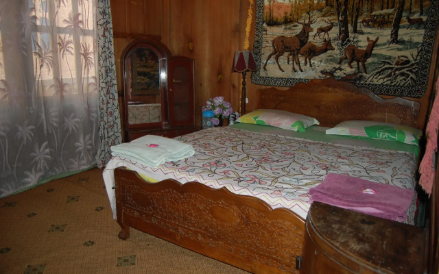 Houseboat Zaindari Palace