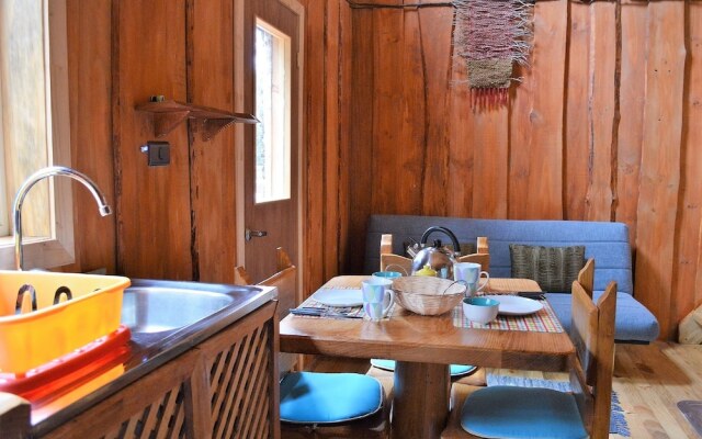 Cabanas Ensenada Bosque Nativo